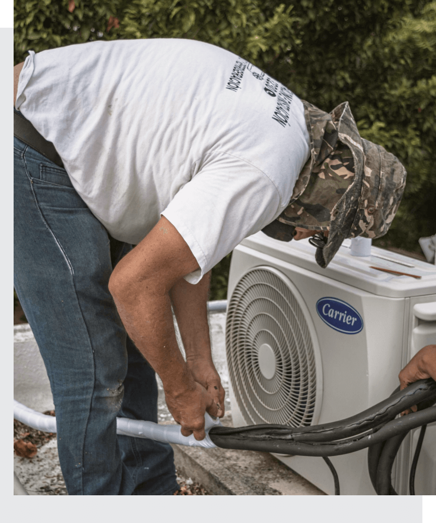 About Brightwave Global sp zoo